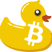 logo-canardcoincoin logo-canardcoincoin