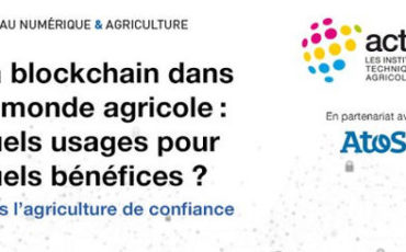 blockchain-agriculture blockchain-agriculture