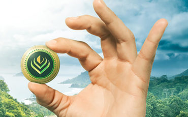 veridium-labs-ibm-stellar-tokens veridium-labs-ibm-stellar-tokens