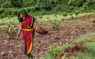 OCP-Groupe-usine-engrais-Inde-660x330 OCP-Groupe-usine-engrais-Inde-660x330