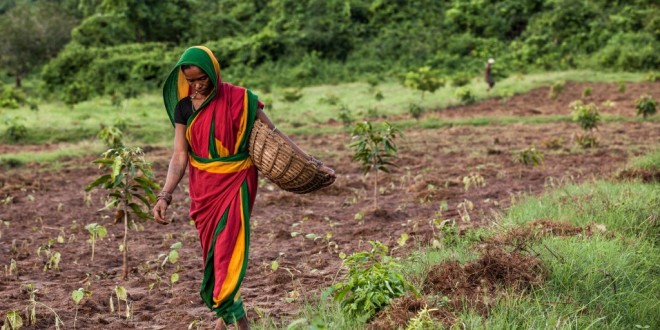 Inde améliore son agriculture avec la Blockchain pour les subventions des engrais