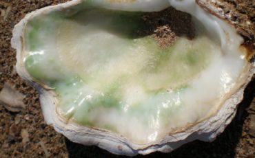 PRL-890x480 PRL-890x480