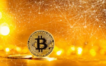 25-percent-more-Coin-competition-for-Bitcoin-since-spring-2018 25-percent-more-Coin-competition-for-Bitcoin-since-spring-2018