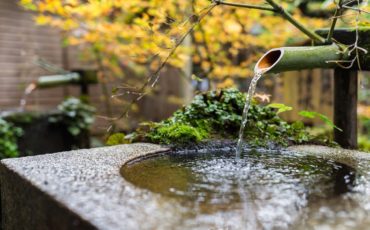 shutterstock_635806124 shutterstock_635806124