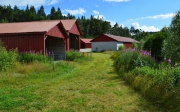 Liberstad_PR Liberstad_PR