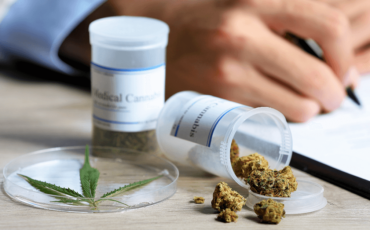 cannabis-medical-fb-2018 cannabis-medical-fb-2018