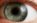 1280px-Eye_iris