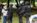 2019-03-15t045010z_1307343590_