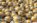 v2_large_d7b72c1e8a6eebcdd1f209aa48c7e526ff98ceb2
