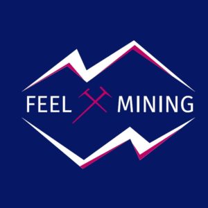 Feel-mining : masternode, minage, cloud, hébergement