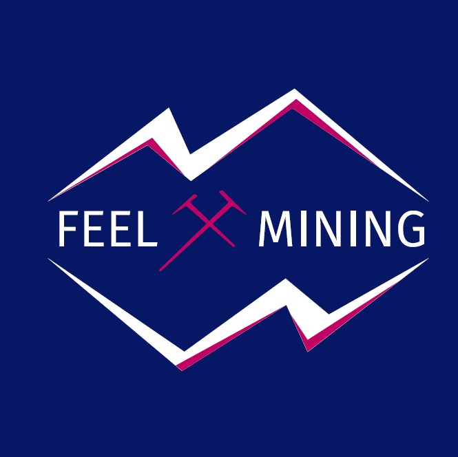 Feel Mining