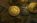 tokens de crypto-monnaies