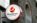 moneygram