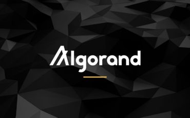 algorand algorand