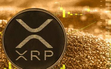 XRP XRP