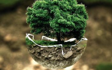 environmental-protection