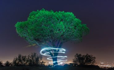 wisdomTree wisdomTree