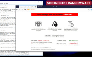 Sodinokibi Sodinokibi