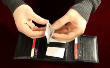 Cerberus wallet Cerberus wallet