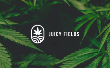 juicy-fields-feature